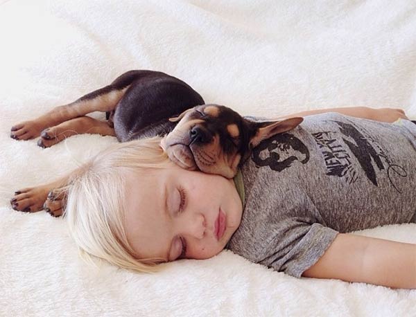 Sleeping dog and child 1