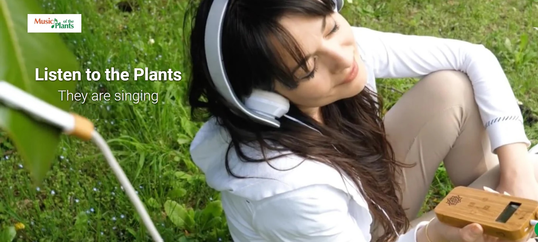 Hudba a rastliny